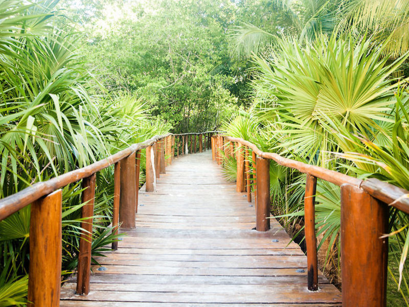 GrandPalladiumWhiteSandRst & Spa