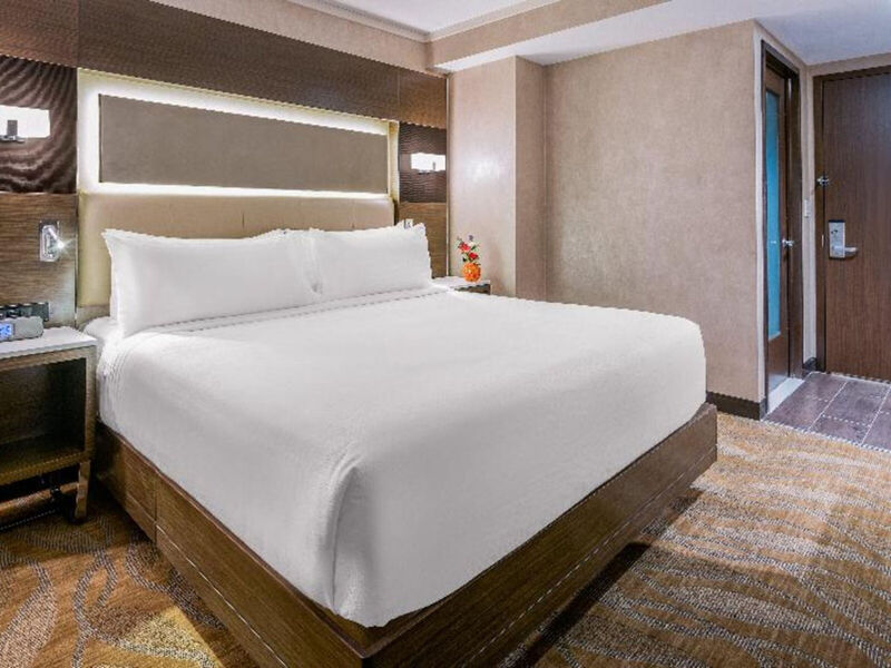 Holiday Inn Brooklyn Downtown
