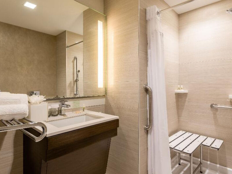 Holiday Inn Brooklyn Downtown