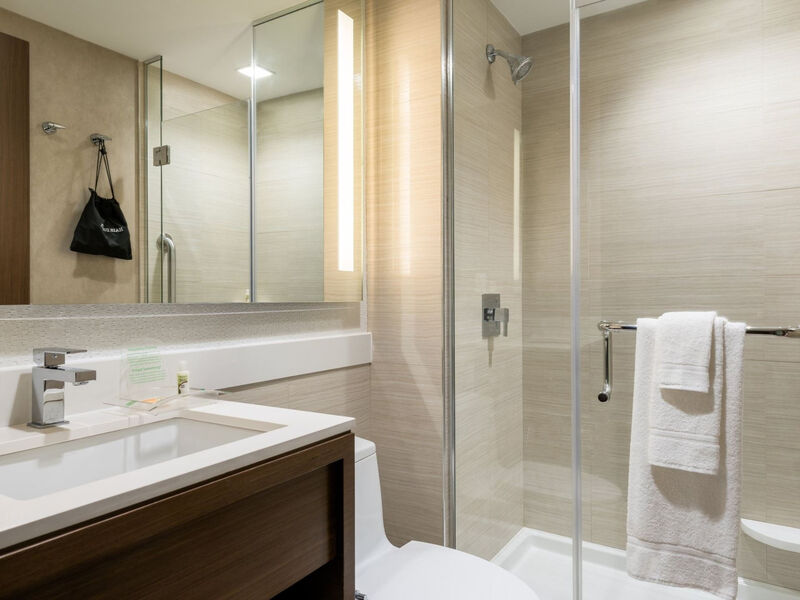 Holiday Inn Brooklyn Downtown