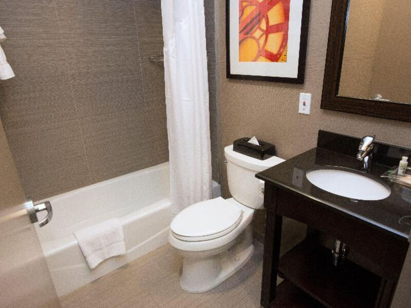Holiday Inn Nyc Lower East Side