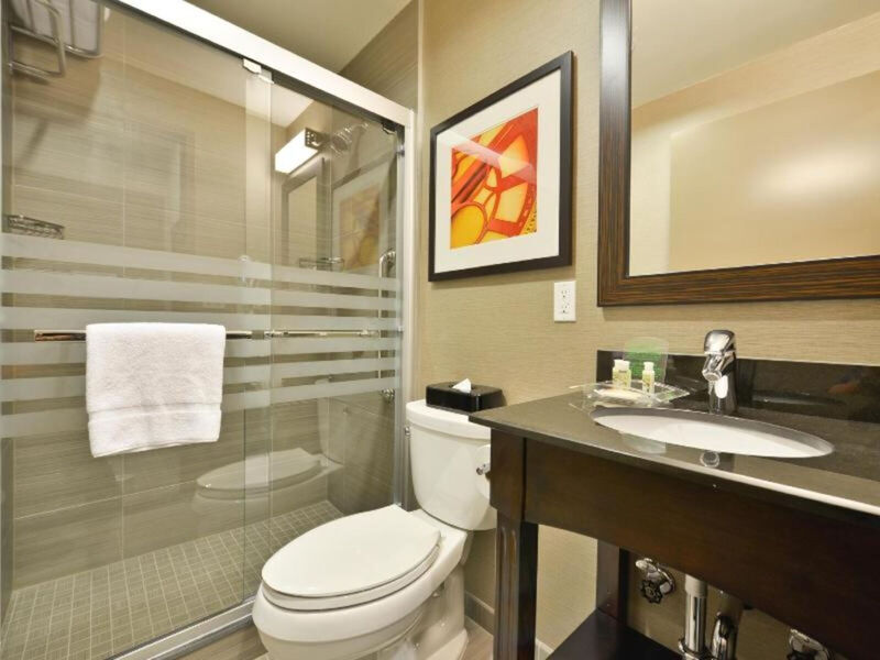 Holiday Inn Nyc Lower East Side