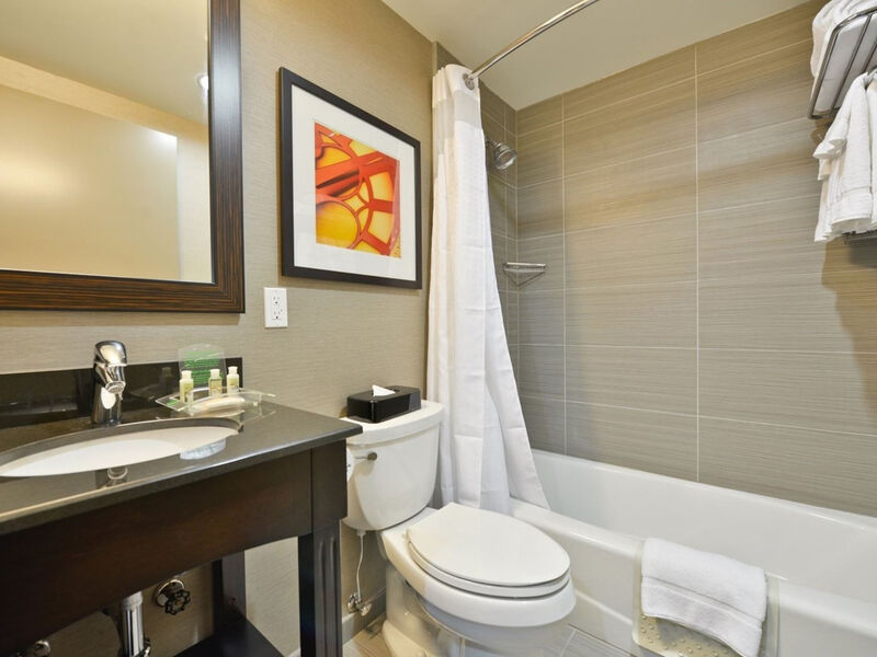 Holiday Inn Nyc Lower East Side