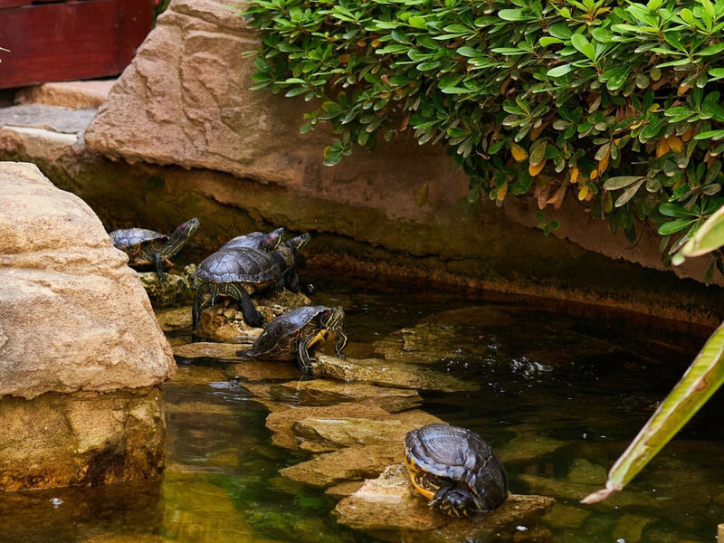 Hotel Intercontinental Malta