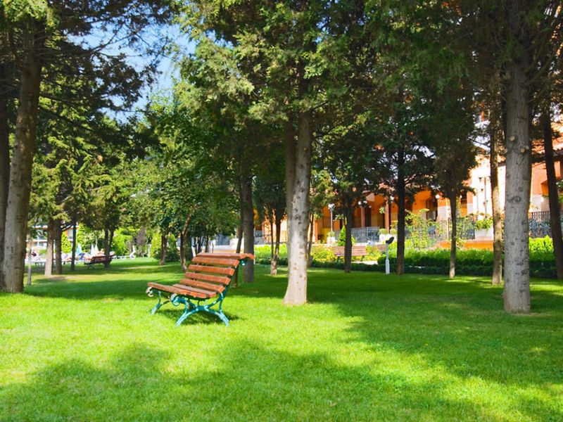 Hrisantema, Hotel