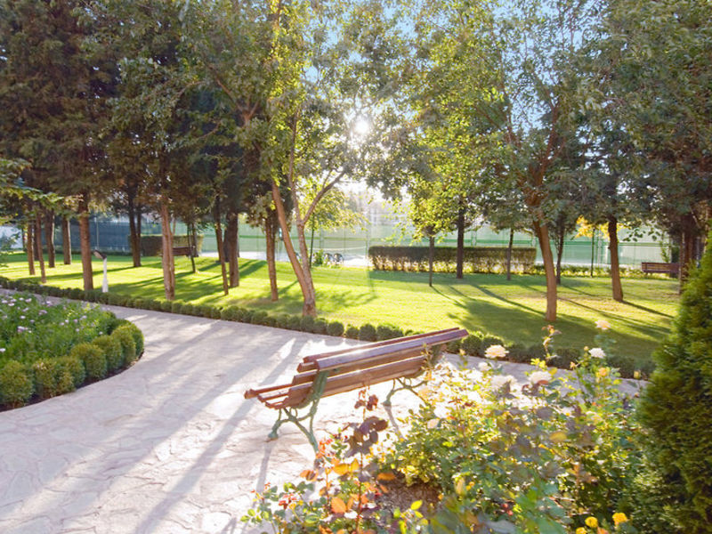 Hrisantema, Hotel
