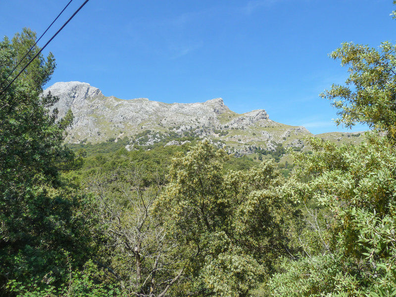 HSM Canarios Park