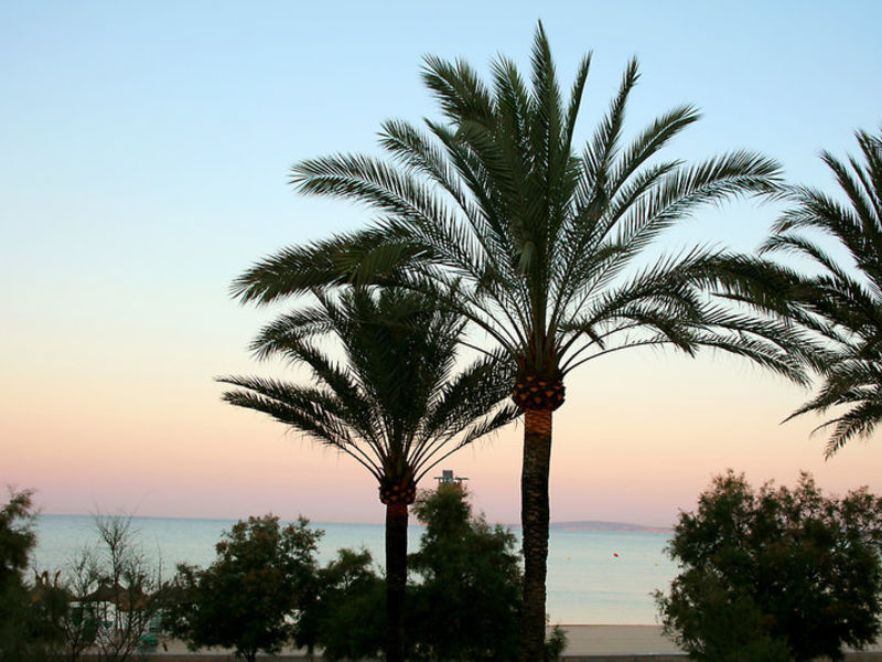 IBEROSTAR Bahia de Palma