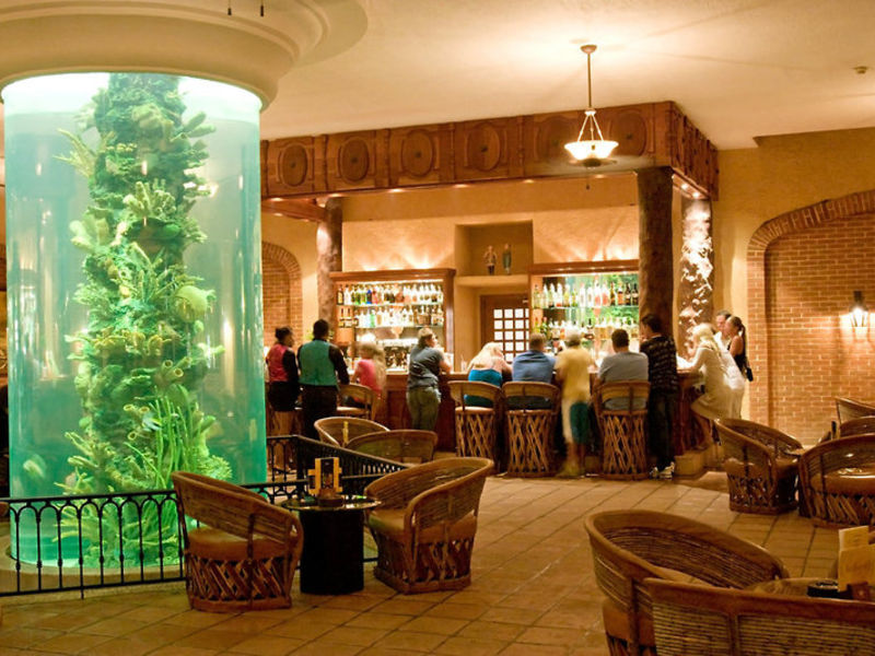 Iberostar Hotel Paraiso Lindo