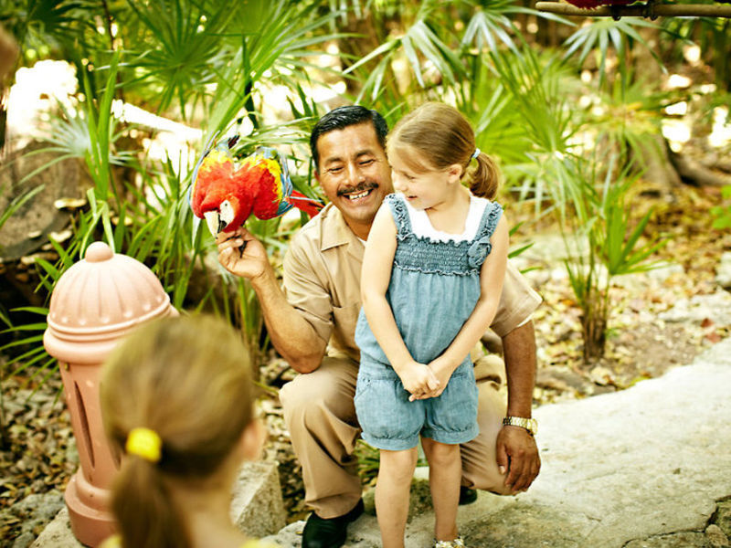 Iberostar Hotel Tucan