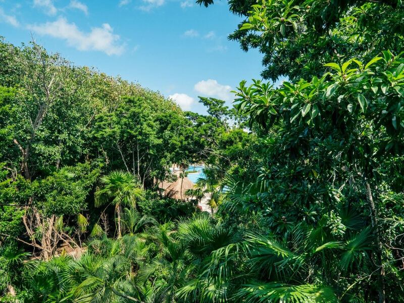 Iberostar Waves Paraíso Beach