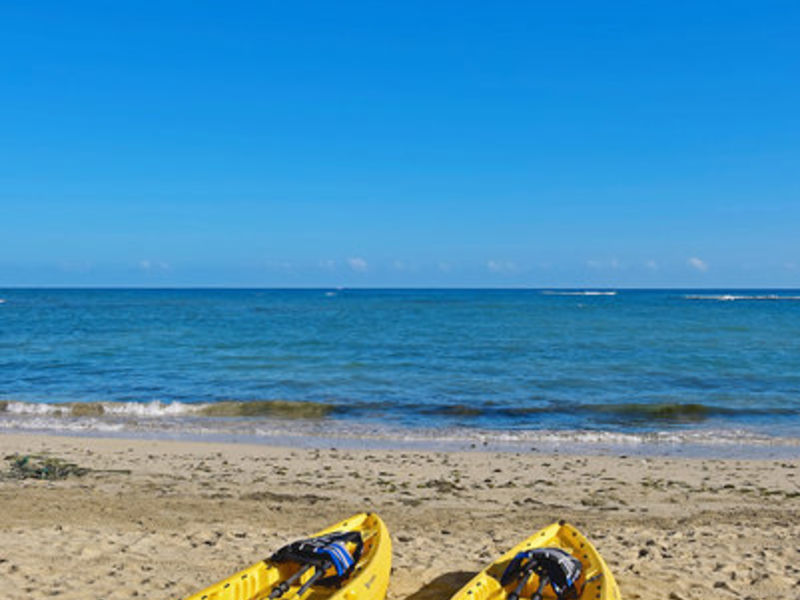 IBS Costa Dorada SP Pack