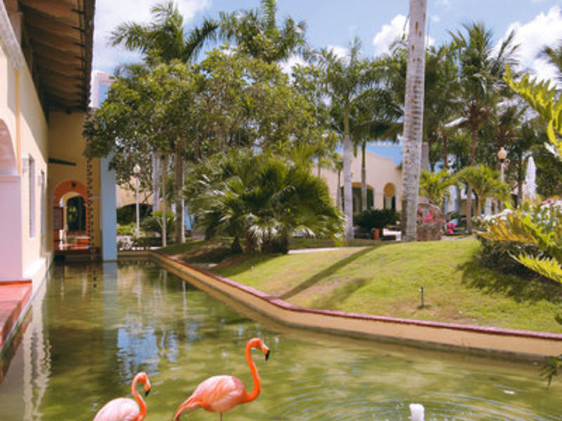 IBS Hacienda Dominicus SP Pack