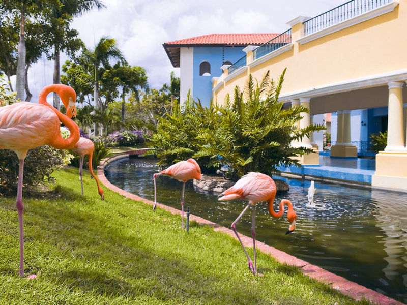IBS Hacienda Dominicus SP Pack