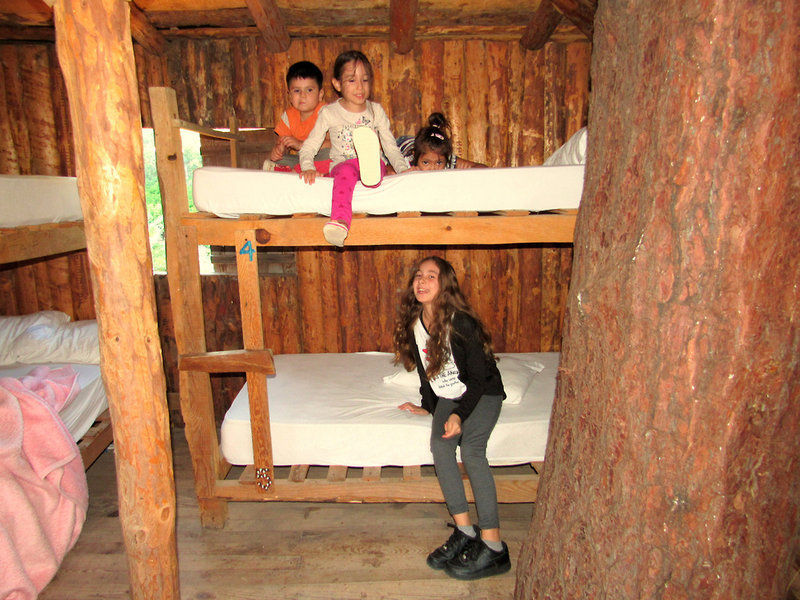 Kadirs Tree Houses