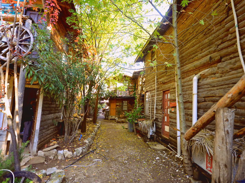 Kadirs Tree Houses