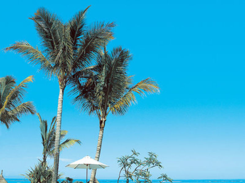 La Pirogue Honeymoon