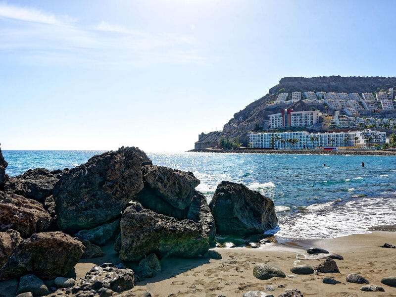 Labranda Costa Mogan