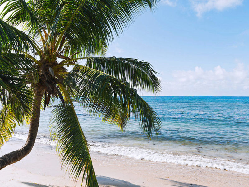 Le Meridien Fisherman's Cove