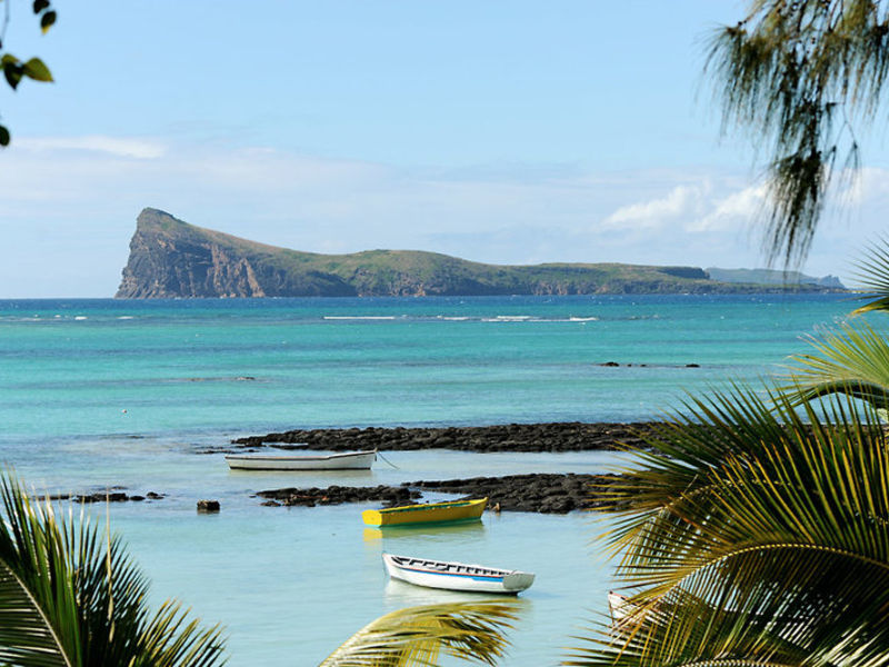 Le Tropical