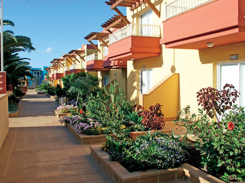 Lobosol Paradise