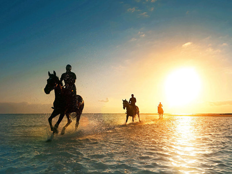 LUX Belle Mare Honeymoon