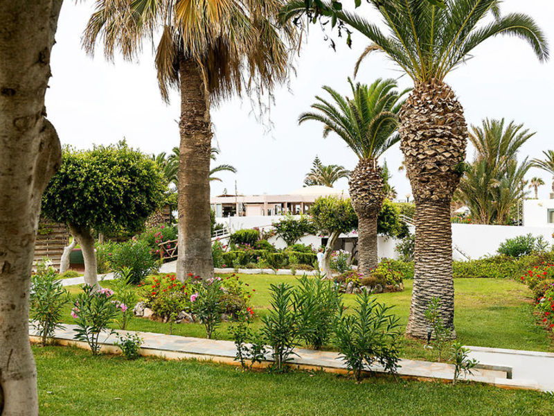 Lyttos Beach