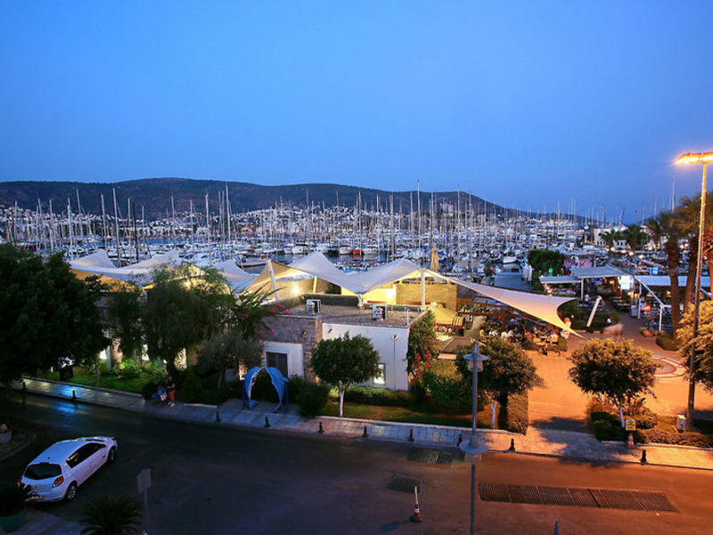 Marina Vista