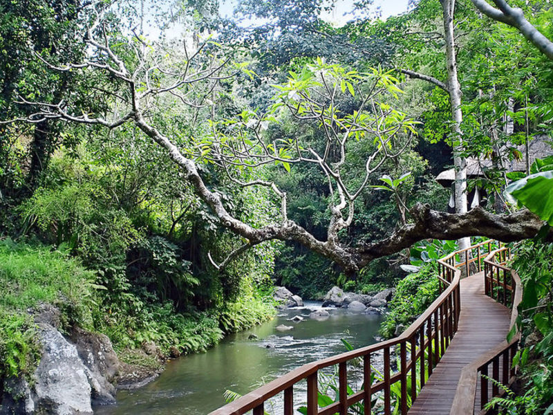 Maya Ubud Resort & Spa