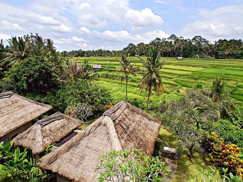 Maya Ubud Resort & Spa