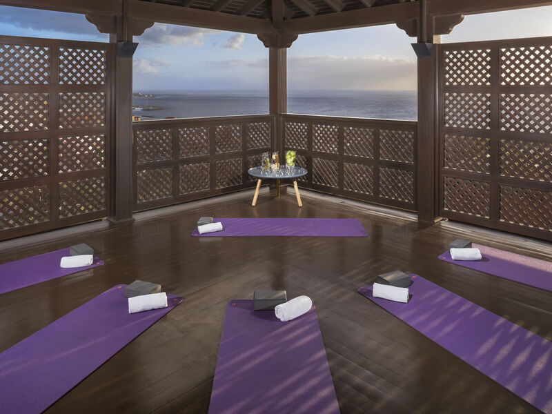 Melia Jardines Del Teide