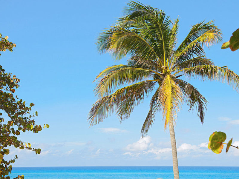Mercure Hotel Cuatro Palm
