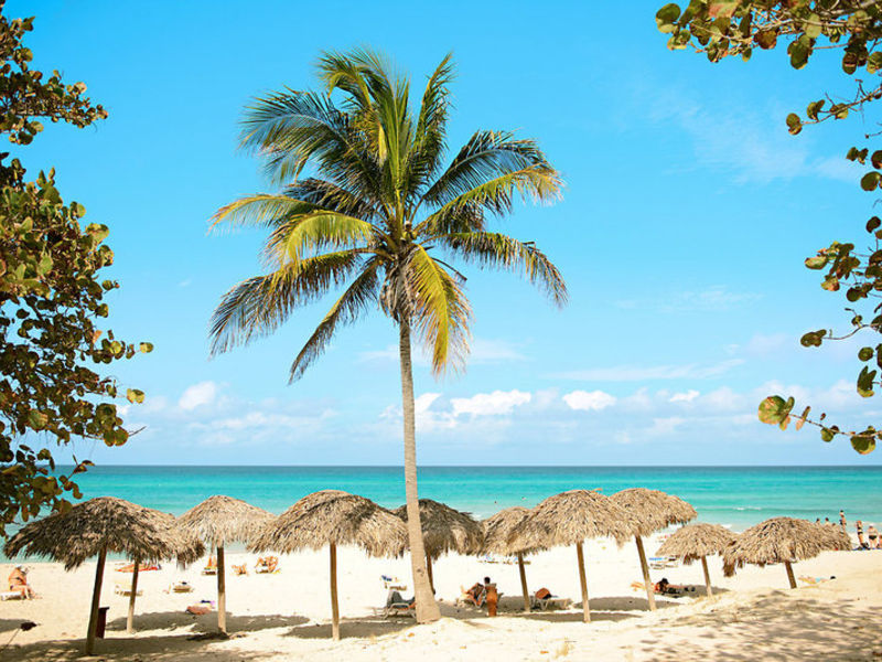 Mercure Hotel Cuatro Palm