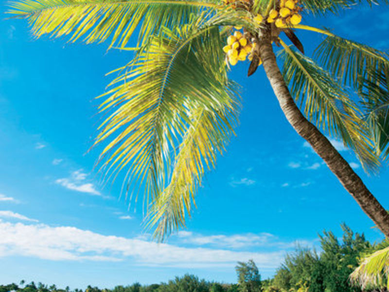 Merville Beach