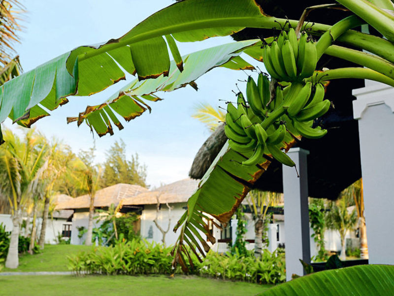 Muine Bay Resort
