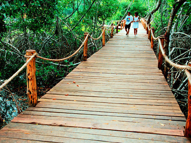 Natura Park Beach Resort