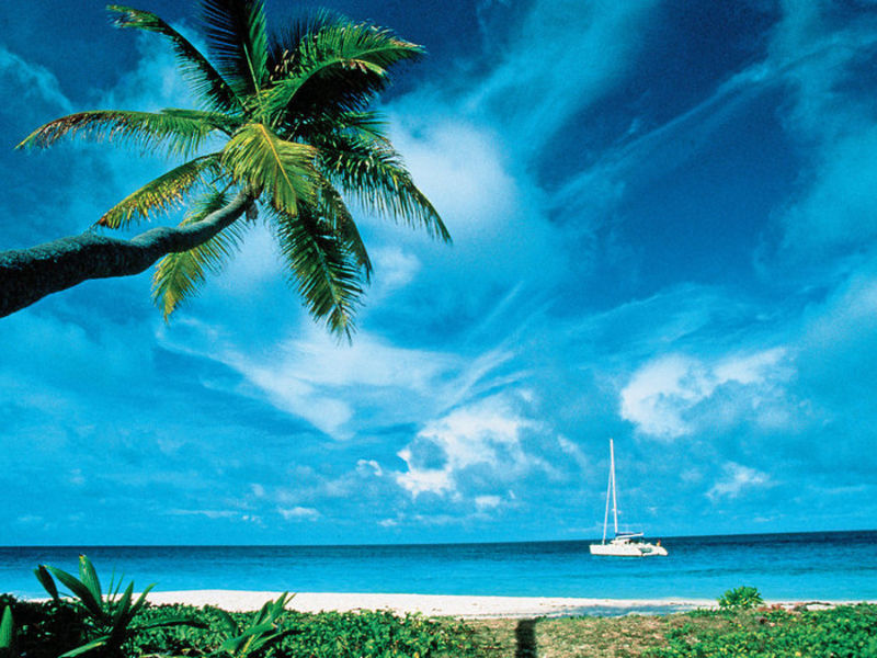 New Emerald Cove Honeymoon