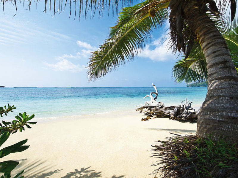 New Emerald Cove Honeymoon