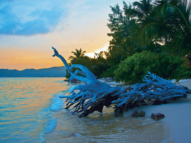 New Emerald Cove Honeymoon