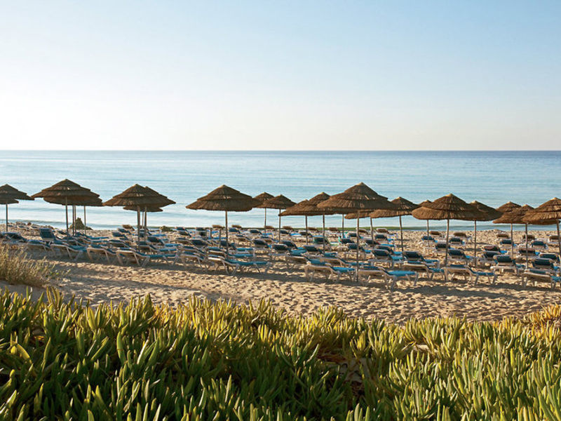 Nissi Park, Hotel