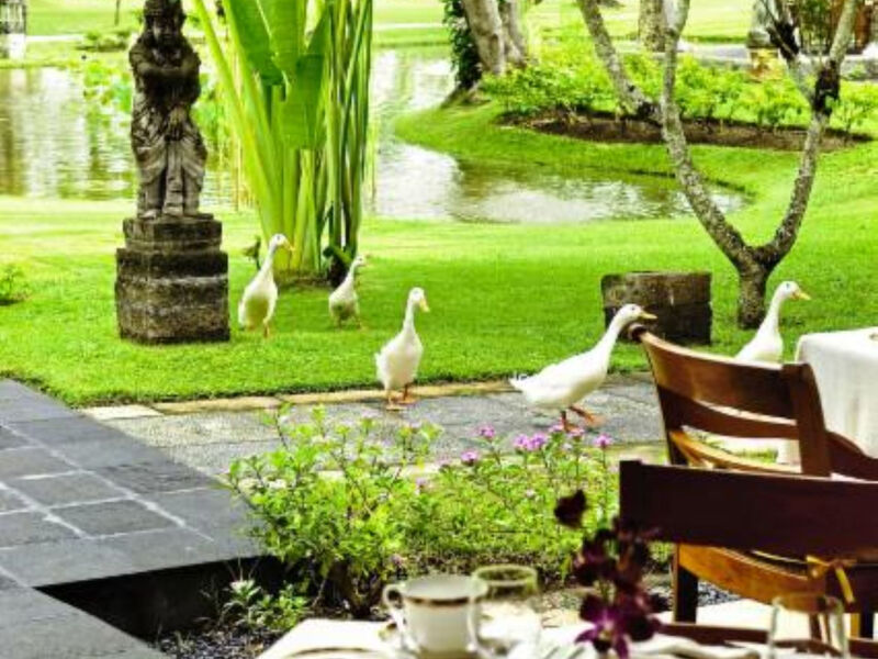 Nusa Dua Beach Hotel &Amp; Spa