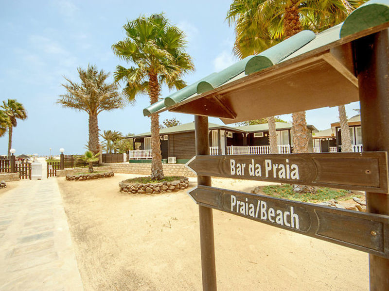 Oasis Belorizonte