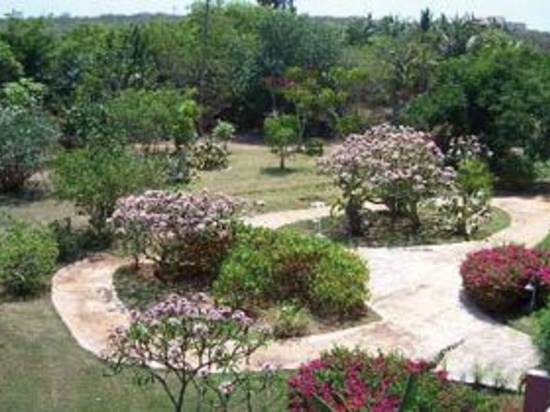 Oasis Brisas del Caribe