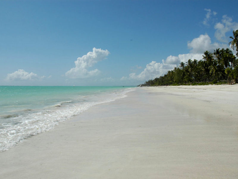 Ocean Paradise Resort HONEY
