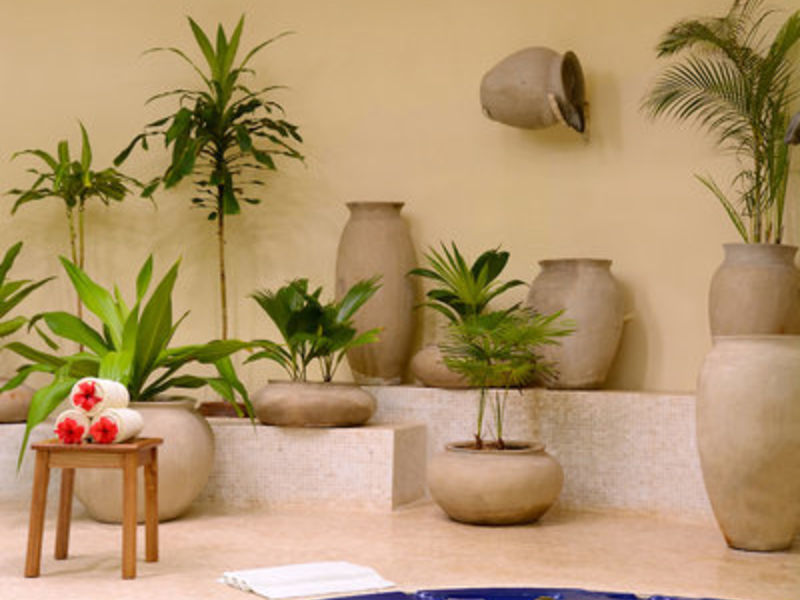 Ocean Paradise Resort & Spa