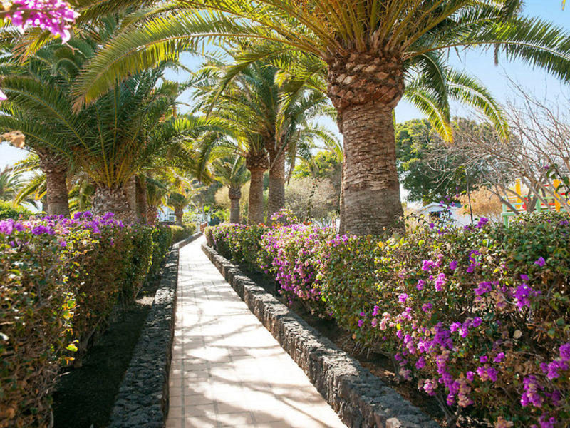 Olé Olivina Lanzarote