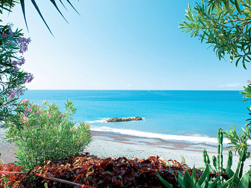Orca Praia