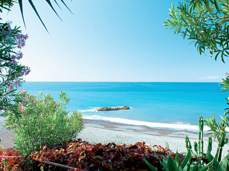 Orca Praia