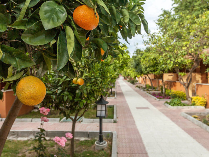Özlem Garden Hotel