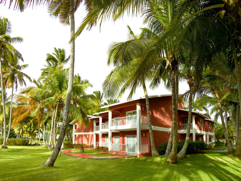 Palladium Complex